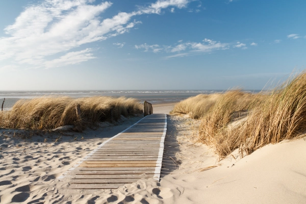 Arbeitsrecht - Kein Urlaub im Sonderurlaub 
